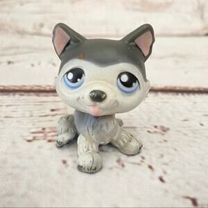 LITTLEST PET SHOP Authentic Black White Husky